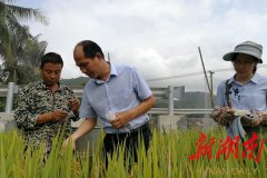 抢庄牛牛游戏网址_抢庄牛牛游戏网站_抢庄牛牛游戏官网_“候鸟”育出“金种子